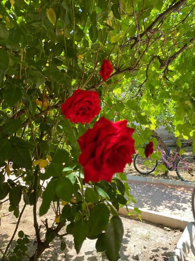 2+1 Full Furnitured House In City Center Antalya Tyrkiet